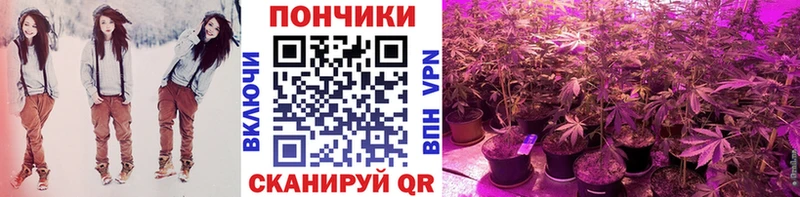 Марихуана планчик Питкяранта